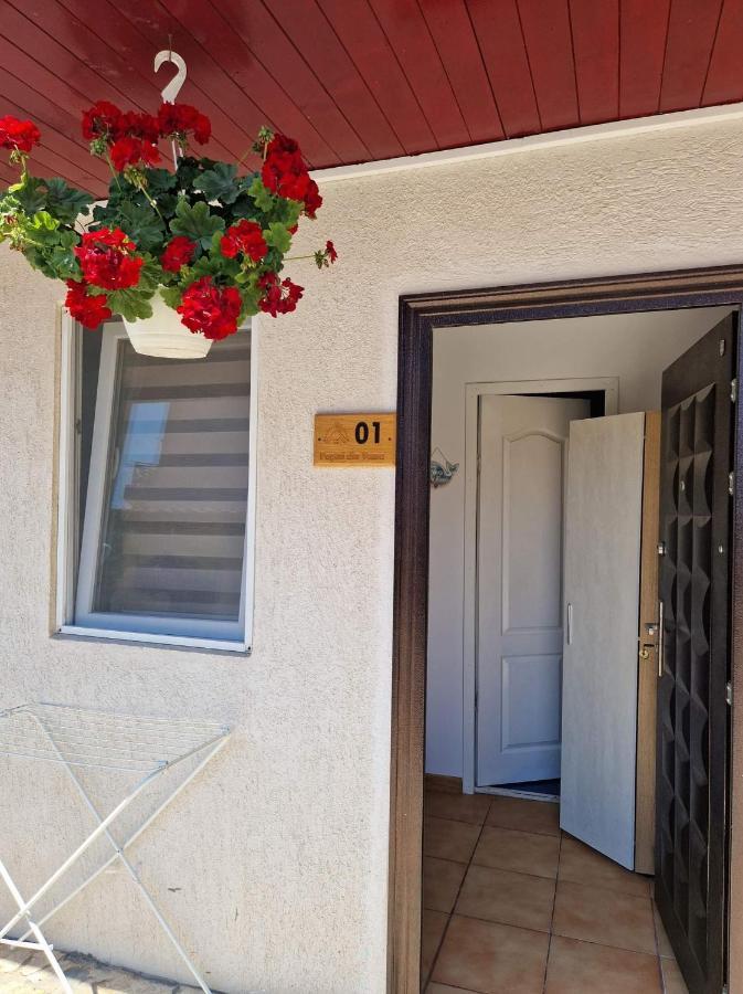 Pagini Din Vama Apartman Vama Veche Kültér fotó